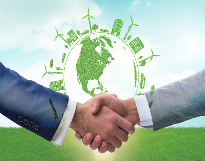Calling ShotgunPrivate Sector Participation in India’s Low-Carbon Transition