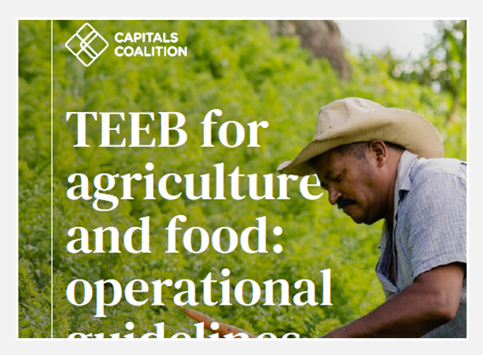 TEEB-for-Agriculture-and-Food-Operational-Guidelines-for-Business