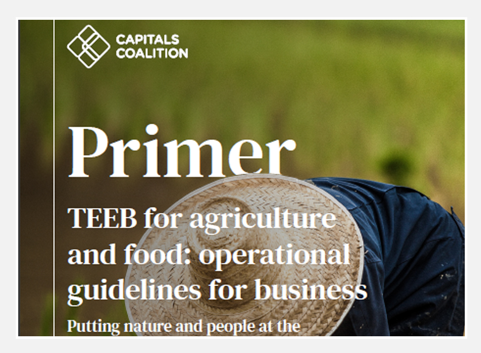PRIMER-TEEB-for-Agriculture-and-Food-Operational-Guidelines-for-Business