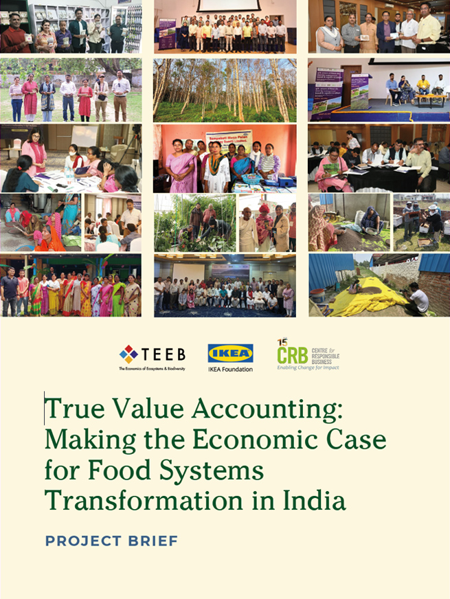 True Value Accounting: Making the Economic Case for Food Systems Transformation in India