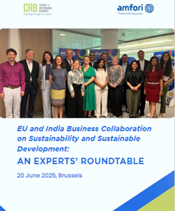First Brussels Roundtable Report 2025