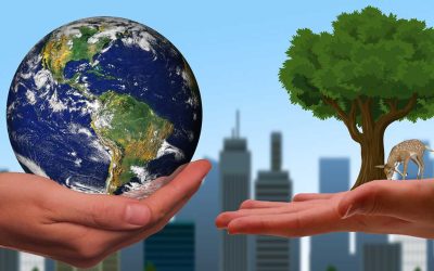Business-Responsibility-and-Case-for-Sustainability