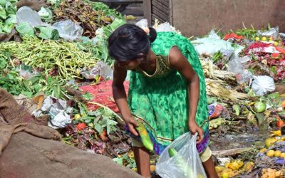 Food-loss-and-waste-in-India-new